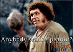 Princess Bride - "Anybody Want A Peanut?" Magnet