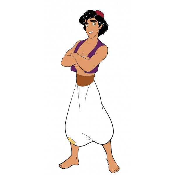 Aladdin Standing Pvc Magnet